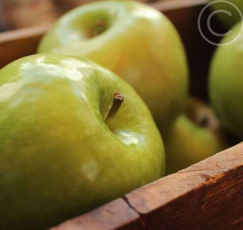 Fresh Fruits